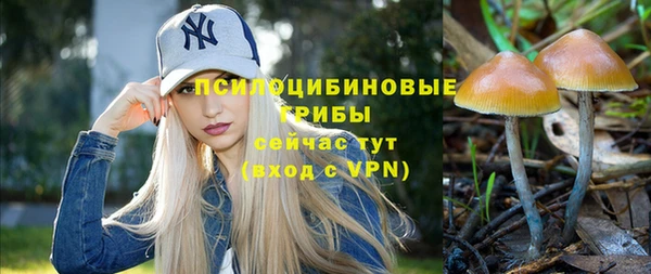 бошки Алексин