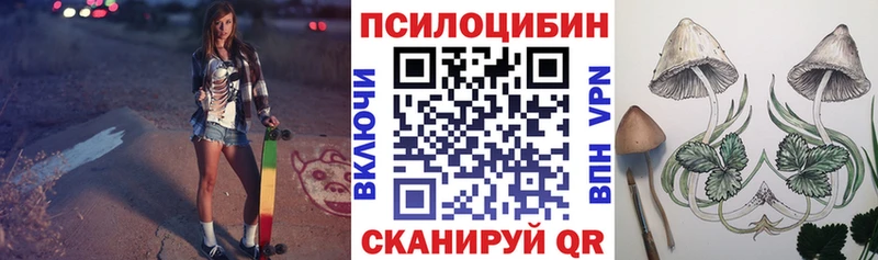 Галлюциногенные грибы мицелий  Новошахтинск 