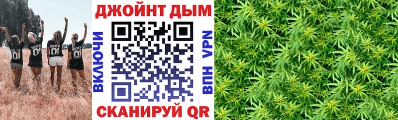 продажа наркотиков  Новошахтинск  Канабис сатива 